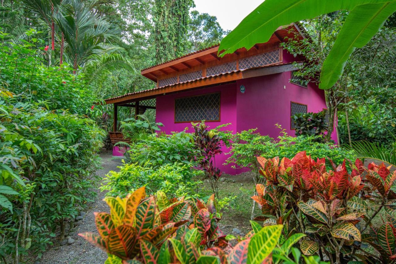 Villa Pina Dorada Dependencia Del Hotel Casa Merlin Puerto Viejo de Talamanca Bagian luar foto