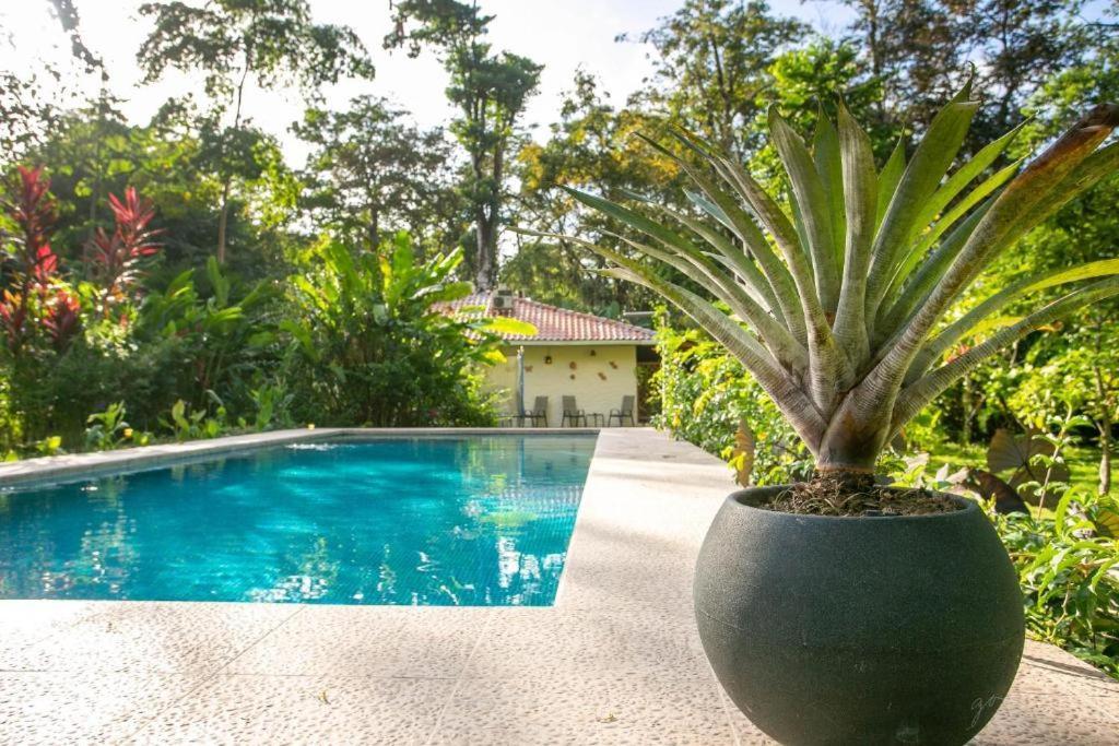 Villa Pina Dorada Dependencia Del Hotel Casa Merlin Puerto Viejo de Talamanca Bagian luar foto